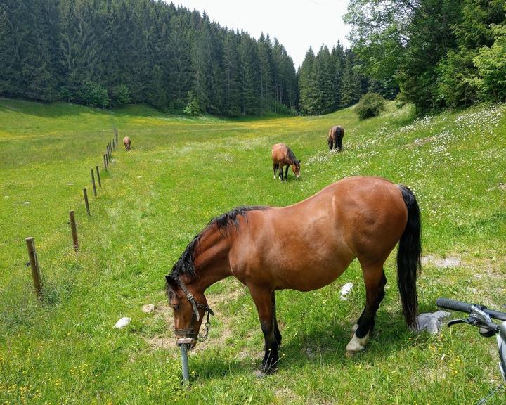 Kaeser Alm